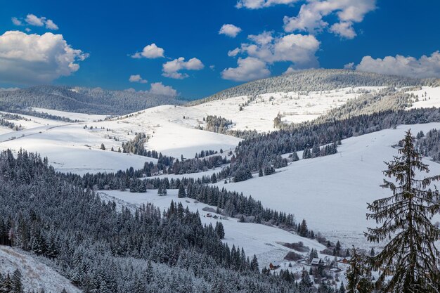 Foto draufsicht auf das schneebedeckte tal