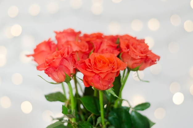 Draufsicht auf den wunderschönen Strauß roter Rosen vor weißem Hintergrund mit Bokeh. Grußkarte. 8. März.