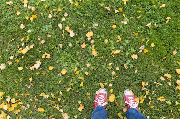 Draufsicht auf die roten Turnschuhe des Mannes auf grünem Gras mit herbstgelben Blättern Herbst- und Lifestyle-Konzept