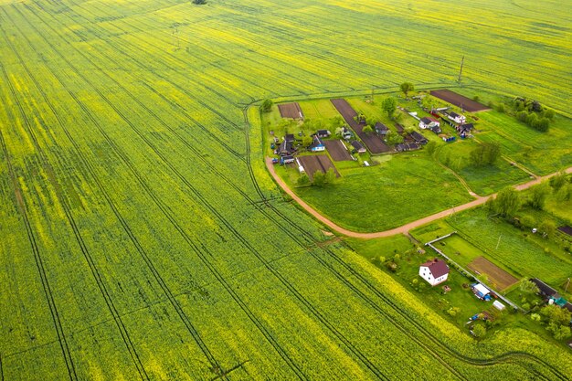 Draufsicht auf ein grünes feld und ein kleines dorf in weißrussland. landwirtschaftliche felder im dorf.