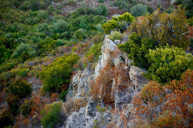 Draufsicht auf eine große Klippe des bergigen Geländes und der Küsteninsel Korsika, Frankreich.