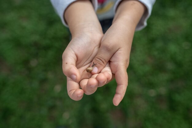 Draufsicht auf eine winzige Schnecke, die auf einem Finger eines Kleinkindes über ein grünes Gras kriecht