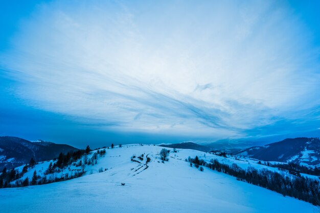 Draufsicht auf eine wunderschöne faszinierende Landschaft mit schneebedeckten Bergen und Hügeln mit Bäumen und Nebel