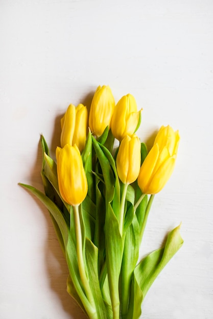 Draufsicht auf einen Strauß gelber Tulpen auf weißem Hintergrund