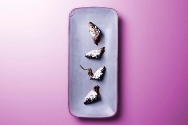 Draufsicht auf einen Teller mit Sardinenköpfen auf rosa Hintergrund. Kreatives gastronomisches Foto.