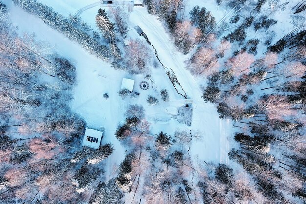 Draufsicht auf einen Wald im Winter, Landschaft der Natur in einem verschneiten Wald, Aero-Foto