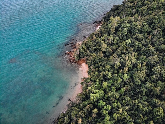 Draufsicht auf einen weitläufigen Strand einer einsamen Insel, bedeckt mit dichtem Wald mit vielen grünen Bäumen, Tiefsee und Wildtieren