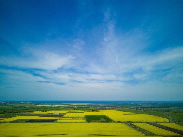 Draufsicht auf Feld mit Raps und Feld mit Gras gegen blauen Himmel