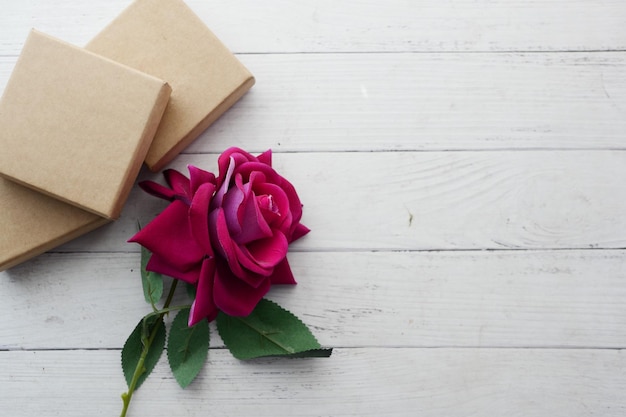 Draufsicht auf Geschenkbox und Rosenblüte auf farbigem Hintergrund