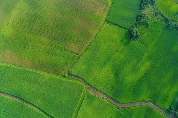 Draufsicht auf grüne Ländereien. Drohnen-Landwirtschaft erzeugt KI