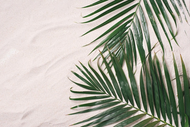 Draufsicht auf grüne tropische Blätter auf Sandhintergrund Flach liegend Minimales Sommerkonzept mit Palmenblättern