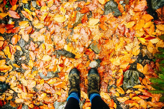 Draufsicht auf Herbst nasse Blätter Trekkingschuhe Foto in hoher Qualität