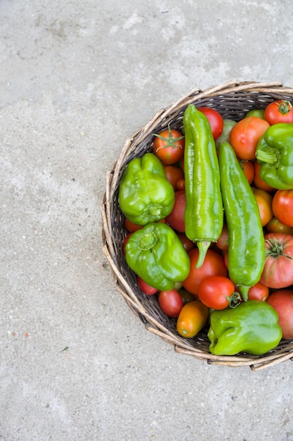 Draufsicht auf Korb voller frischer Bio-Gemüse Tomaten und Paprika auf Betongrund