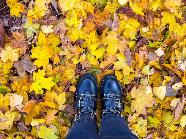 Draufsicht auf Lederschuhe, die auf Herbstlaub im Park stehen