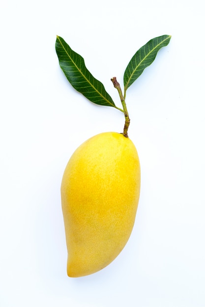 Draufsicht auf Mango, tropische Frucht saftig und süß.