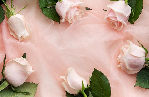 Draufsicht auf rosa Rosen auf rosa Tüllhintergrund