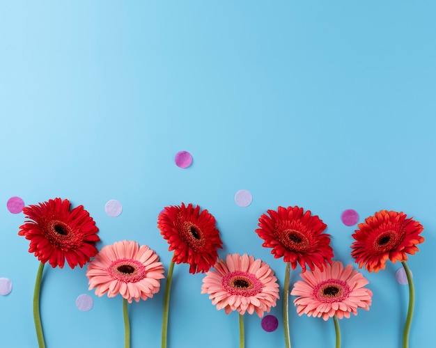 Foto draufsicht auf schöne blumen