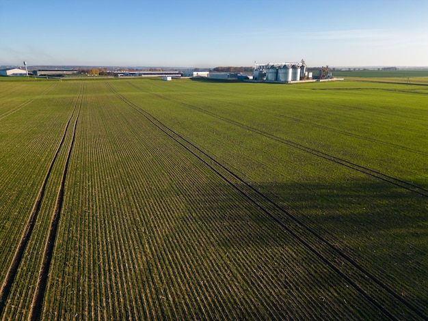 Draufsicht auf Silbersilos in der Agro-Produktionsanlage zur Verarbeitung, Trocknung, Reinigung und Lagerung von landwirtschaftlichen Produkten, Mehl, Getreide und Getreide Große Eisenfässer mit Getreide Getreideaufzug