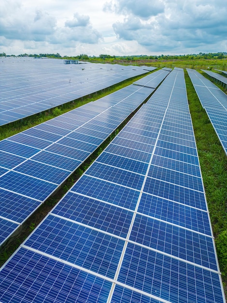 Draufsicht auf Sonnenkollektoren auf dem Bauernhof Alternative Stromquelle Sonnenkollektoren absorbieren Sonnenlicht als Energiequelle, um Strom zu erzeugen und nachhaltige Energie zu erzeugen