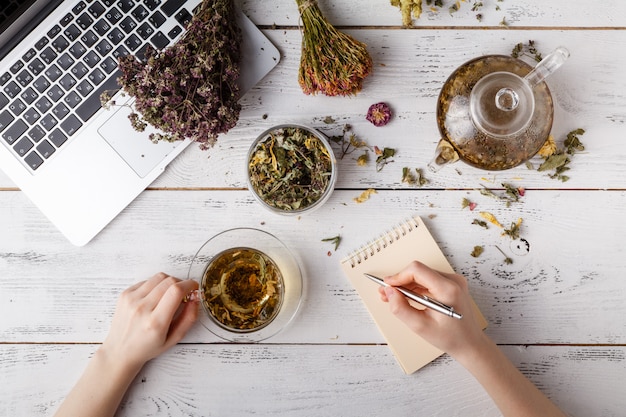 Draufsicht auf verschiedene Teesorten. Aromatisiert mit verschiedenen Kräutern, einem Apfel, einer Rose mit einer Teekanne und einer Teetasse auf einem rustikalen Tisch