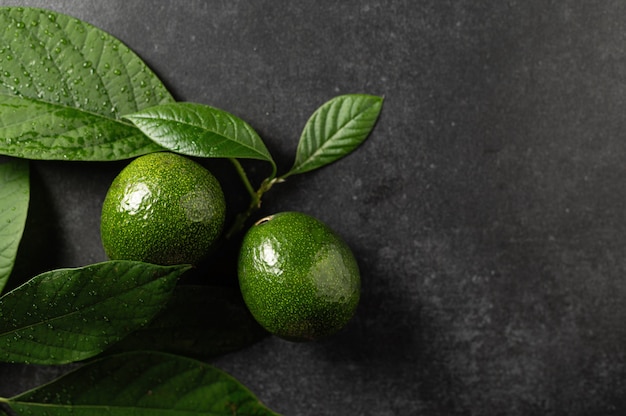 Draufsicht auf zwei reife Avocados mit Blättern auf grauem Steinhintergrund