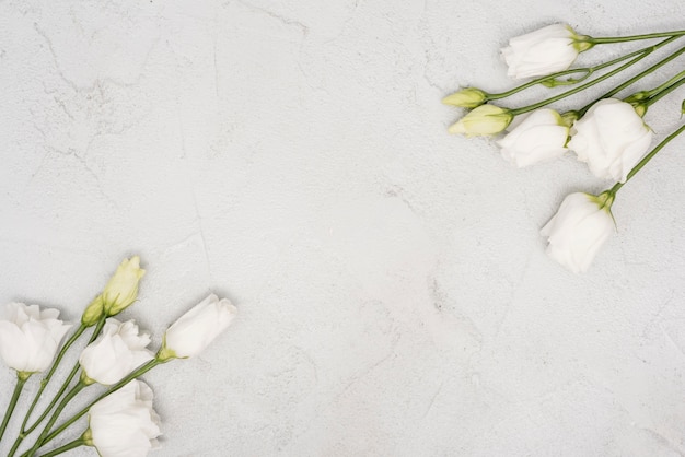 Draufsicht Blumensträuße der weißen Rosen