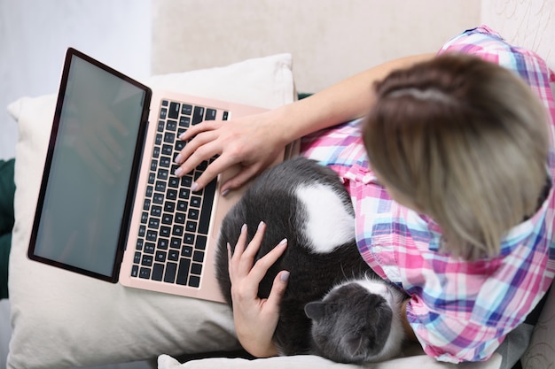 Draufsicht der jungen Frau, die auf Sofa sitzt und an modernem Laptop arbeitet. Weiblicher Besitzer, der Hauskatze streichelt. Fern- und Fernarbeits- oder Quarantänezeitkonzept