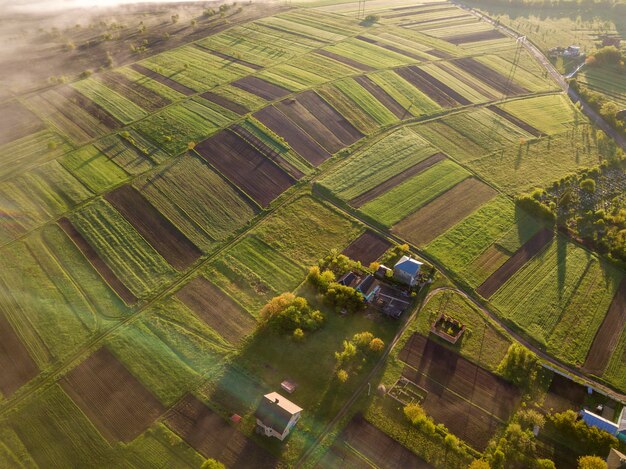 Draufsicht der ländlichen Landschaft am sonnigen Frühlingstag. Bauernhaus, Häuser und Scheunen auf grünen und schwarzen Feldern. Drohnenfotografie.