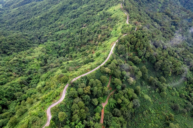 Draufsicht der Landstraße, die durch den grünen Wald und den Berg führt