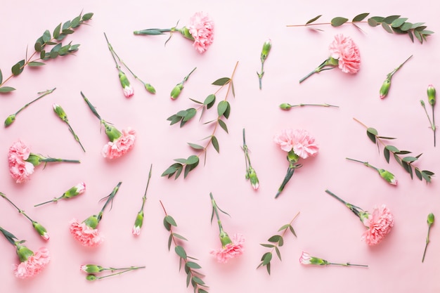 Draufsicht der rosa Nelkenblumen