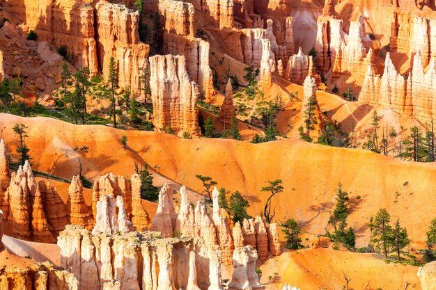 Draufsicht der Sandsteinberge am Bryce Canyon