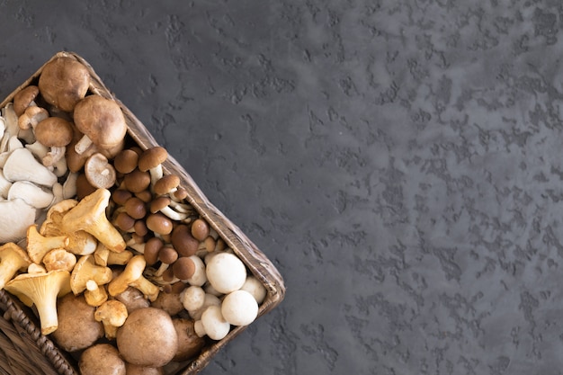 Draufsicht der Vielzahl der ungekochten wilden Waldpilze in einem Weidenkorb auf einem schwarzen Hintergrund, Ebenenlage. Champignons Pfifferlinge, Honigpilze, Austernpilze, Champignons, Portobello, Shiitake