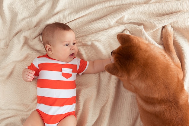Draufsicht des fünfmonatigen Babys und des Shiba Inu-Hundes liegen zusammen auf einer Decke, schauen sich an, das Kind lächelt und fühlt sich glücklich. Sicht von oben