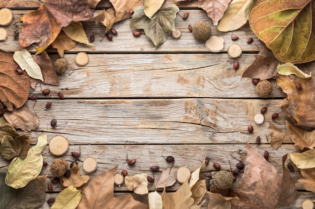 Foto draufsicht des herbstlaubrahmens mit kopierraum