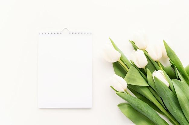 Draufsicht des leeren Kalenders für Modellentwurf und weiße Tulpen. Frühlingskonzept.