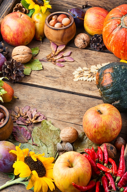 Foto draufsicht des schönen herbstzusammensetzungsrahmen-hintergrundes