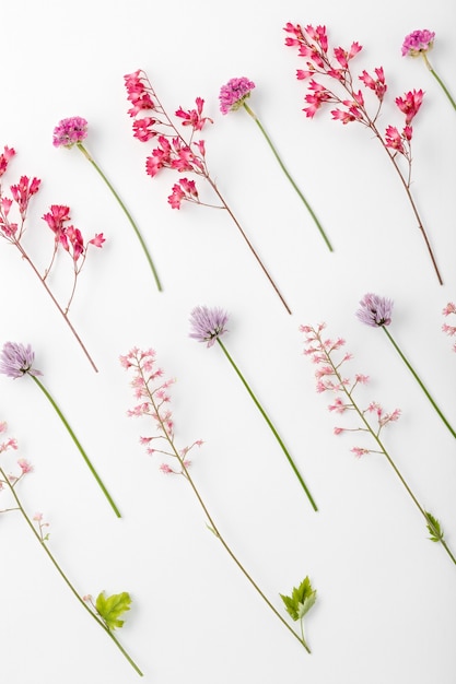 Draufsicht einer Blumenkomposition auf einer weißen Fläche