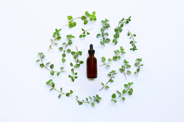 Draufsicht Flasche ätherisches Öl mit Oregano auf weißem Hintergrund.