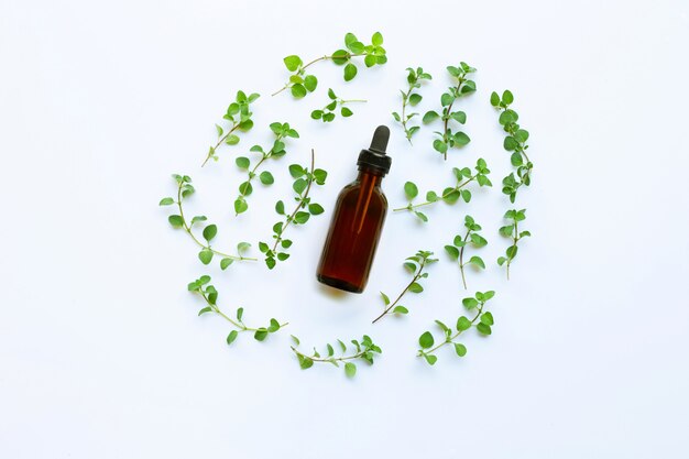 Draufsicht Flasche ätherisches Öl mit Oregano auf weißem Hintergrund.