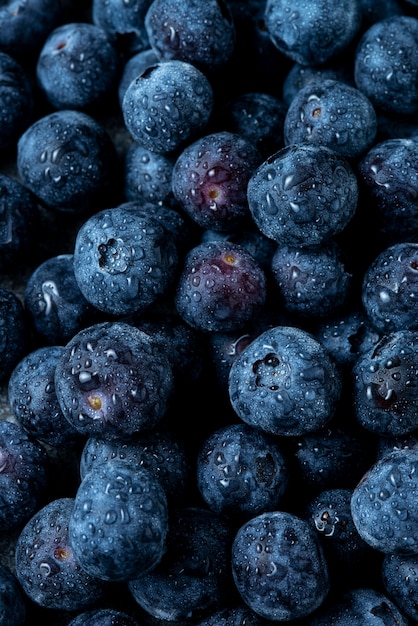 Foto draufsicht köstliche blaubeeranordnung