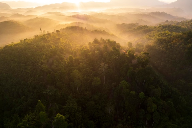 Draufsicht Landschaft des Morgennebels mit Bergschicht im Norden von Thailand Bergrücken und Wolken im ländlichen Dschungelbuschwald