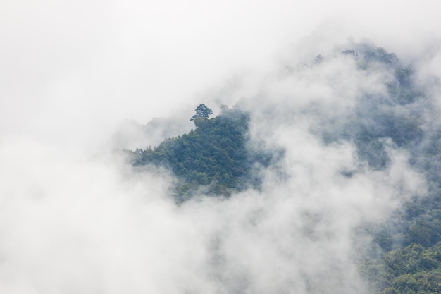 Draufsicht Landschaft des Morgennebels mit Bergschicht im Norden von Thailand