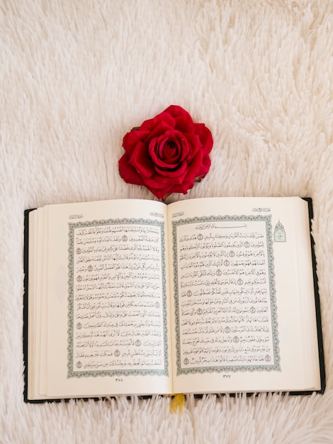 Draufsicht öffnete Quran mit Rotrose