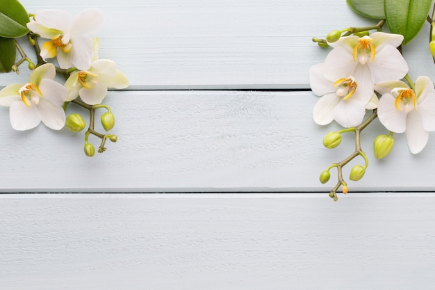Draufsicht Orchideenpflanze auf Holztisch
