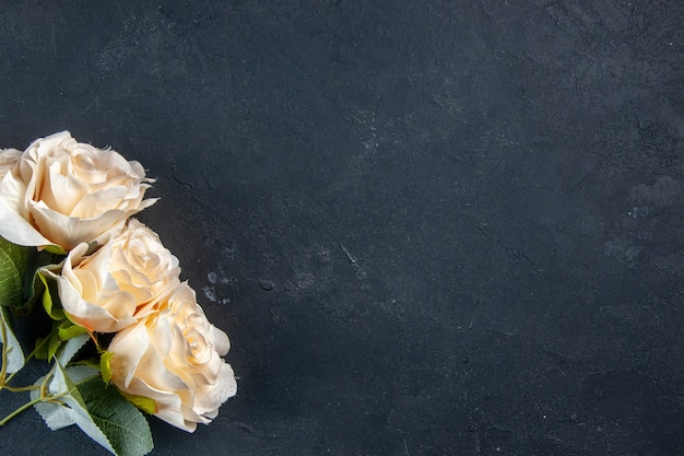 Draufsicht schöne Blumen auf dunkler Oberfläche