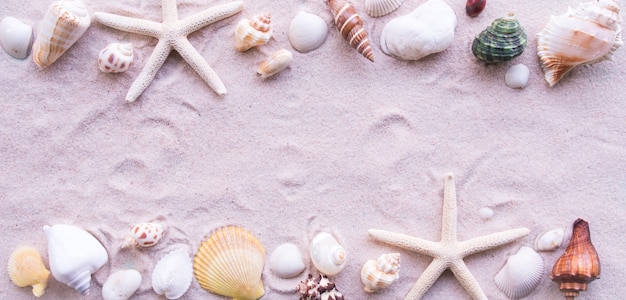 Draufsicht, Strand und Shell