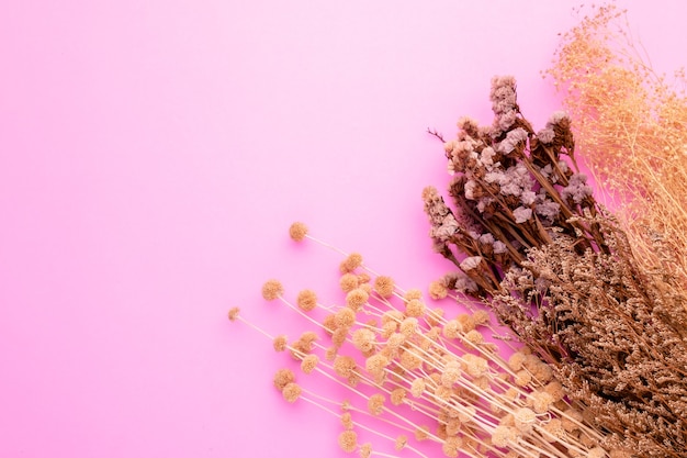 Draufsicht trockene Farbe Grasblume für Innendekoration.