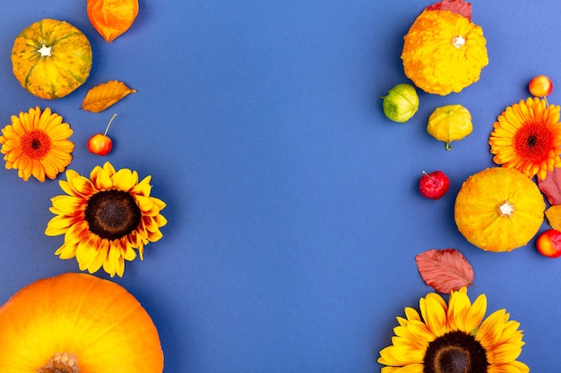 Draufsicht von gelben und orange Blumen und Kürbissen auf blauer Oberfläche mit Kopienraum