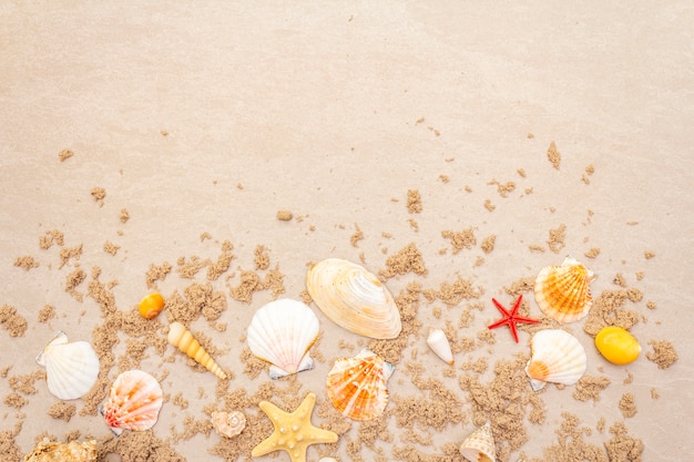 Draufsicht von Muscheln mit Sand