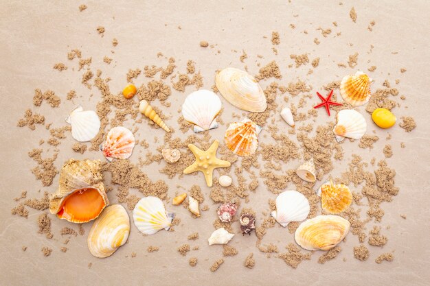 Draufsicht von Muscheln mit Sand